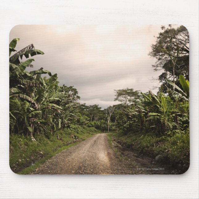 Tapis De Souris Une route à distance de jungle (Devant)