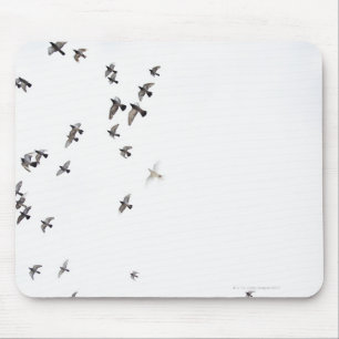 Tapis De Souris Une volée des oiseaux vole au ciel