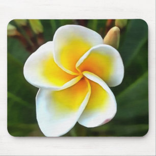 Tapis De Souris Unique Frangipani Blossom Realism Art