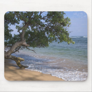 Tapis De Souris USA, Hawaï, Kauai, plage pittoresque. RF)