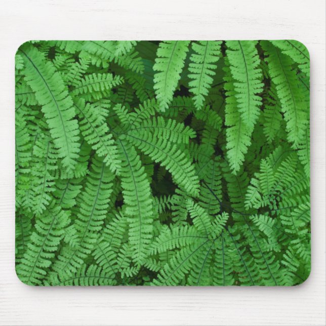 Tapis De Souris USA, Oregon, Silverton. Fermes de Maidenhair (Devant)