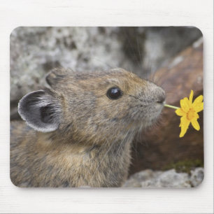 Tapis De Souris USA, Washington, North Cascades National Park,