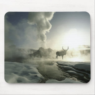 Tapis De Souris USA, Wyoming, Parc National de Yellowstone. Soleil