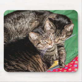 Tapis De Souris Vacances - Noël - Tous les jours - Deux Chats