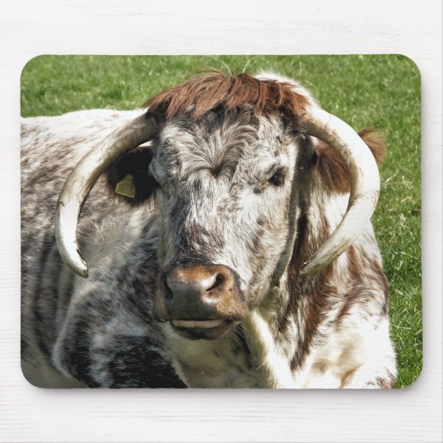 TAPIS DE SOURIS VACHE (Devant)