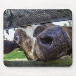 Tapis De Souris Vache curieuse