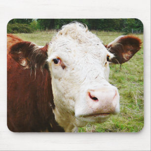 Tapis De Souris Vache de boucherie faite face blanche