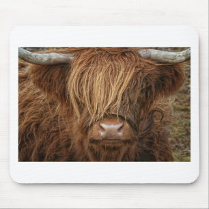 Tapis De Souris Vache des montagnes écossaise - Ecosse