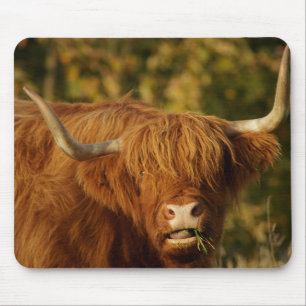 Tapis De Souris Vache écossaise des Highlands