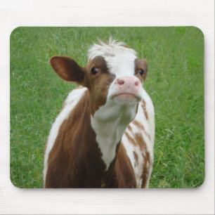 Tapis De Souris Vache laitière sur la ferme