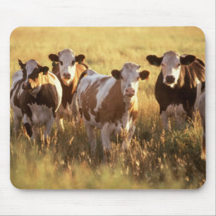 Tapis De Souris Vaches
