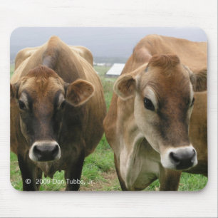 Tapis De Souris Vaches curieuses