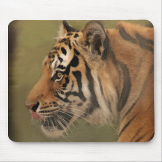 Tapis De Souris vagabondage