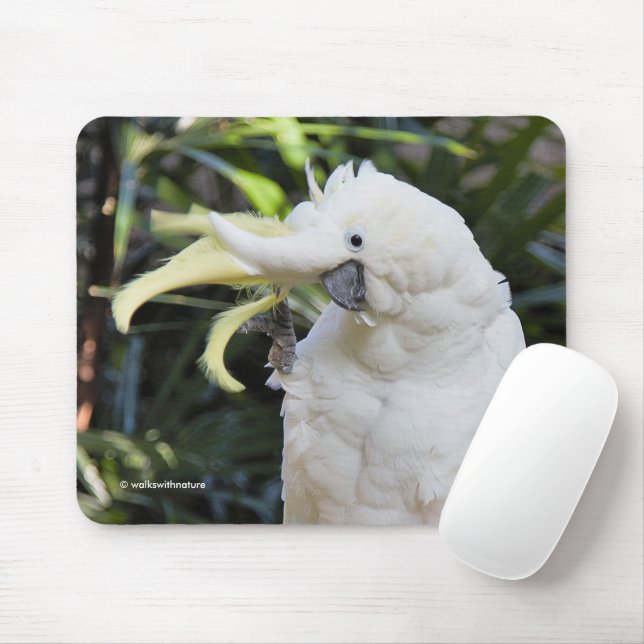 Tapis De Souris Vagues d'oiseaux de Cockatoo à pois de soufre (Avec souris)