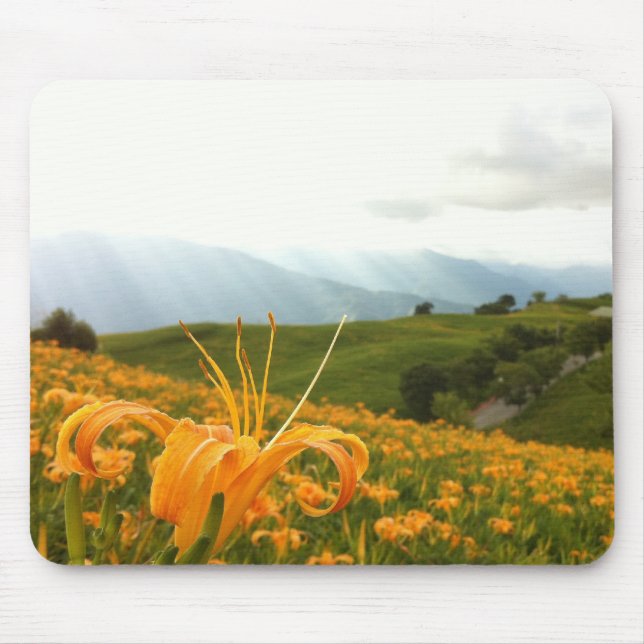 Tapis De Souris Vallée d'or de fleur de Daylily (Devant)