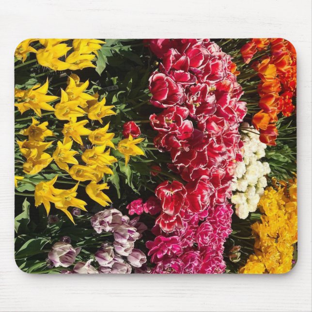 Tapis De Souris Variété de tulipes (Devant)