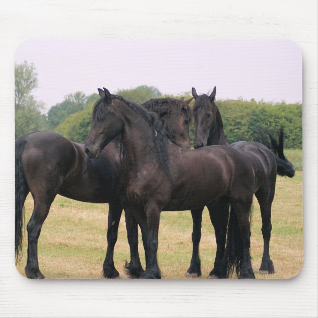 Tapis De Souris Vérifiant l'eachother (Devant)