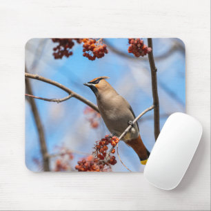Tapis De Souris Verrerie bohémienne, Faune Photographie Aviaire