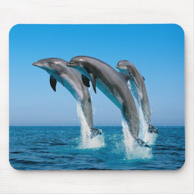 Tapis De Souris Vers le haut des dauphins hauts hauts (Devant)