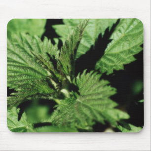 Tapis de souris vert menthe, Jardin, Photo, Person