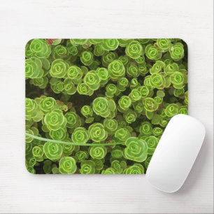 Tapis De Souris Vert Sedum Mousepad 2