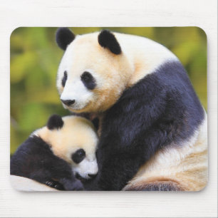 Tapis De Souris Very Cute Panda Mouse Mat