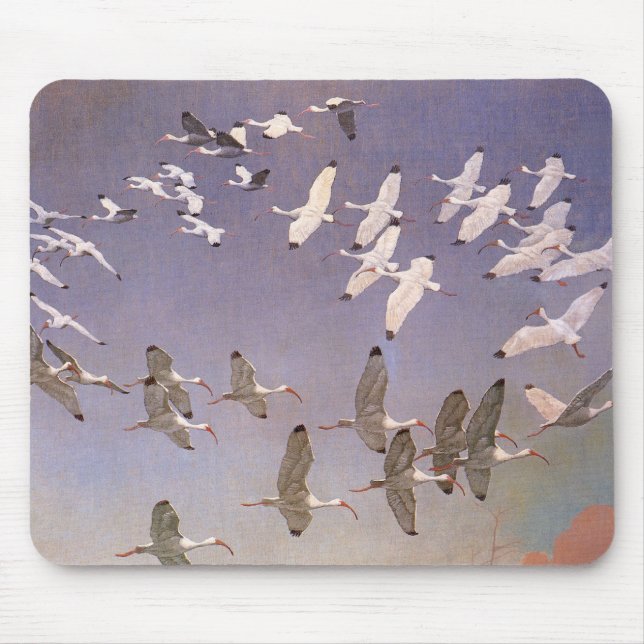 Tapis De Souris Vestige d'Ibis survolant les zones humides, les oi (Devant)