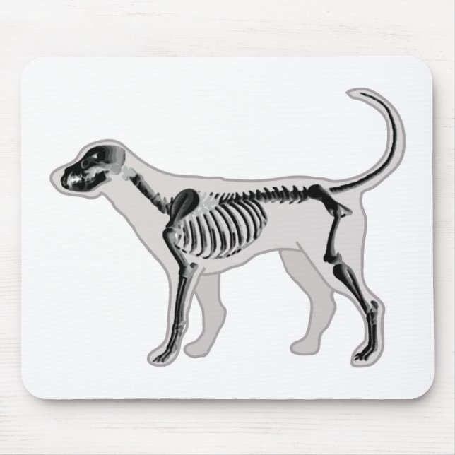 TAPIS DE SOURIS VÉTÉRINAIRE DE RAYON X D'ANATOMIE DE CHIEN (Devant)