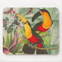 Vibrant Tropical Toucan Birds Art Exotic Jungle