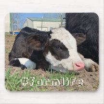 #vie agricole Souris