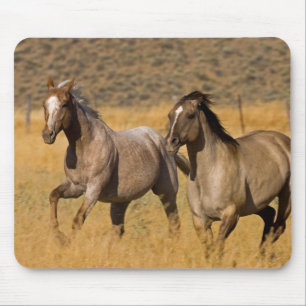 Tapis De Souris Vie de ranch au Ponderosa Ranch