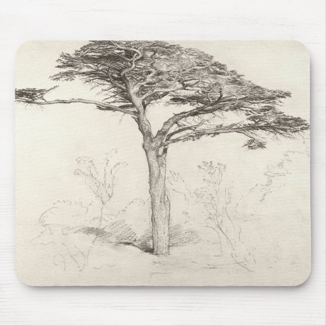 Tapis De Souris Vieil arbre de cèdre dans le jardin botanique, (Devant)