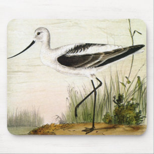 Tapis De Souris Vieille vie marine Oiseaux de rivage, oiseaux avoc