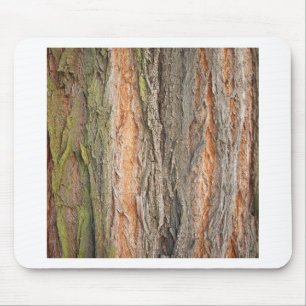 Tapis De Souris vieux arbre
