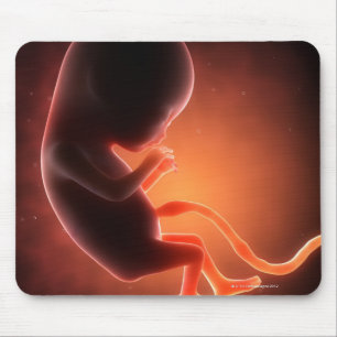 Tapis De Souris Vieux foetus de deux mois