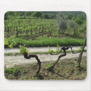 Tapis De Souris Vignoble dans la région de Chianti de l'Italie