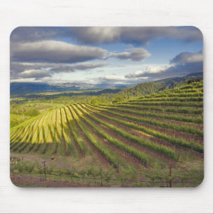 Tapis De Souris Vignoble. Vallée de Napa. Napa. Comté de Napa,