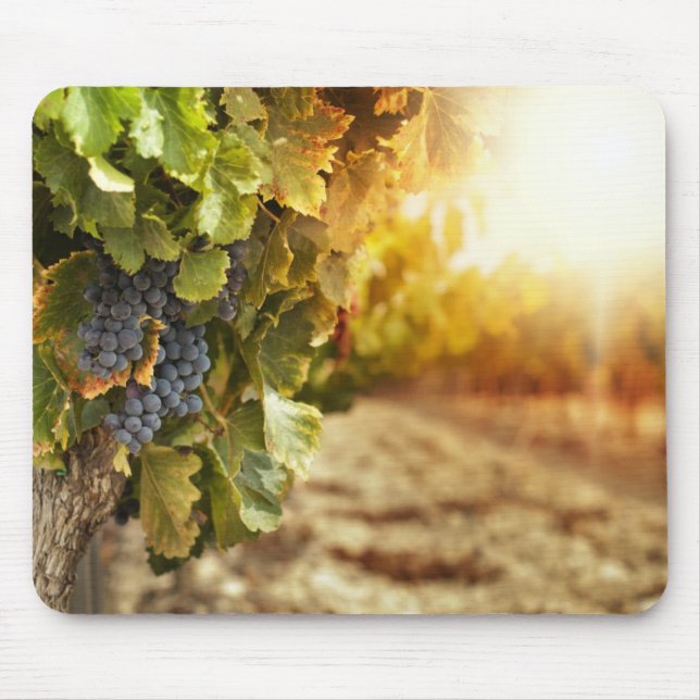 Tapis De Souris Vignobles Au Coucher Du Soleil (Devant)