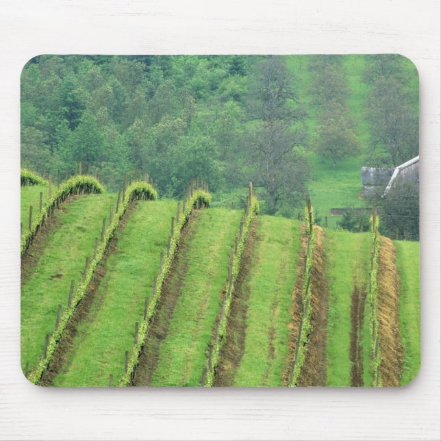Tapis De Souris Vignobles de raisin près de Newberg Oregon (Devant)