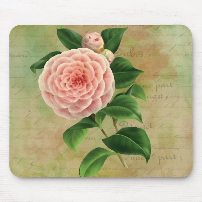 Tapis De Souris Vintage Camellia Botanique (Devant)