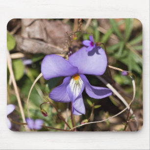 Tapis De Souris Violette à pieds d'oiseau avec bluets