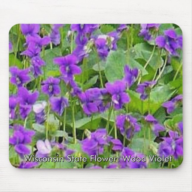 Tapis De Souris Violettes en bois du Wisconsin (Devant)