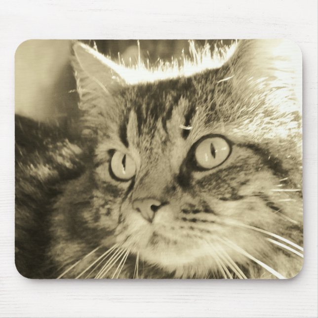 Tapis De Souris Visage 2 de ragondin du Maine (Devant)