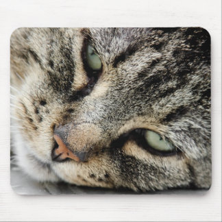 Tapis De Souris Visage de chat