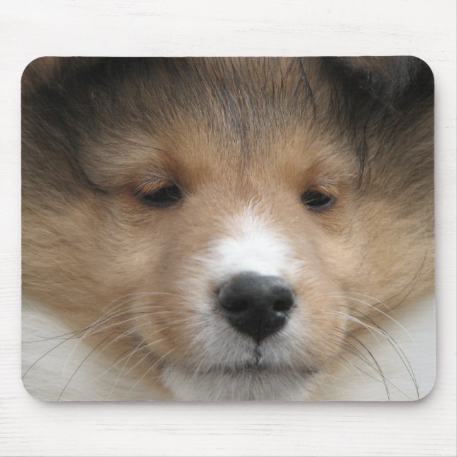 Tapis De Souris Visage de chiot de Sheltie (Devant)
