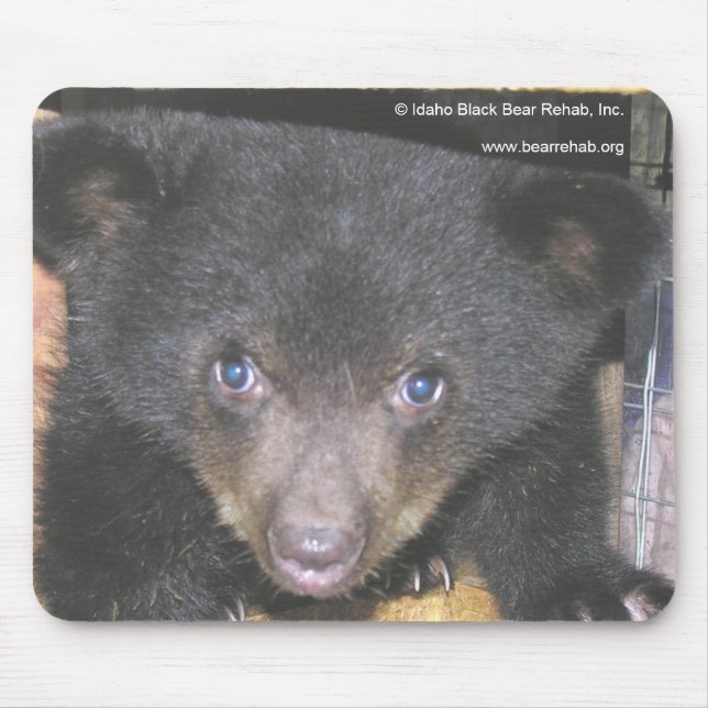 Tapis De Souris Visage en gros plan Mousepad de CUB d'ours (Devant)