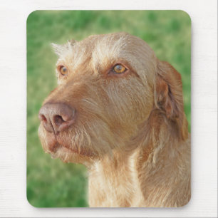 Tapis De Souris Vizsla Créez votre propre animal de compagnie pers
