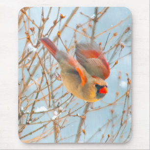 Tapis De Souris Vol Cardinal Nord - Photo originale