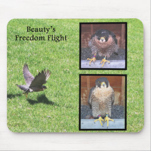 Tapis De Souris Vol Mousepad de liberté de beauté