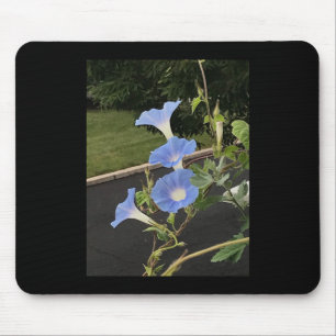 Tapis De Souris Volubilis Cascade Bleu